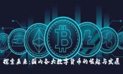 探索未来：国内各大数字货币的崛起与发展
