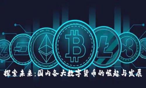 探索未来：国内各大数字货币的崛起与发展