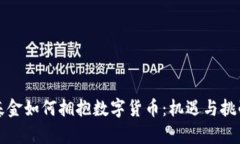 社保基金如何拥抱数字货币：机遇与挑战并存