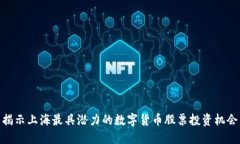 揭示上海最具潜力的数字货币股票投资机会