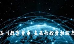 全面解读吴川数字货币：未来的投资机遇与风险