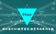 探秘海外WS数字货币：投资新机遇的全貌