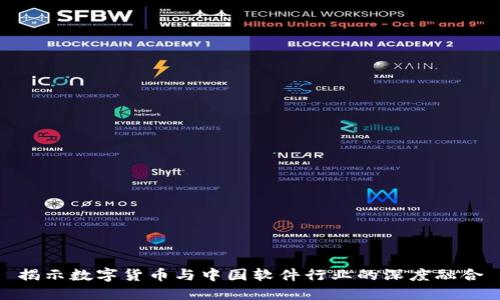 揭示数字货币与中国软件行业的深度融合