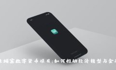 探索柬埔寨数字货币项目：如何推动经济转型与