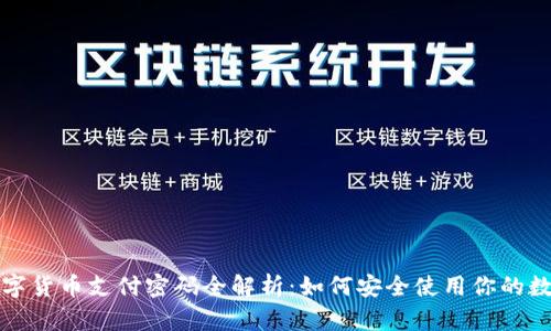 央行数字货币支付密码全解析：如何安全使用你的数字钱包