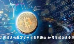 探索上海浦东的数字货币交易新潮流：如何掌握