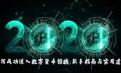 如何成功进入数字货币领域：新手指南与实用建
