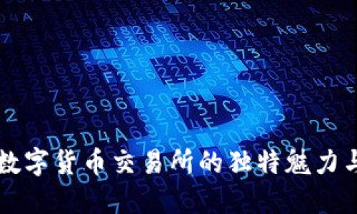 探索数字货币交易所的独特魅力与特色